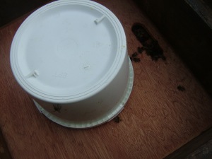 Contact feeder on the hive